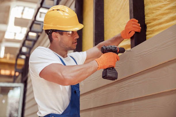 Best Siding Removal and Disposal  in Holt, MI